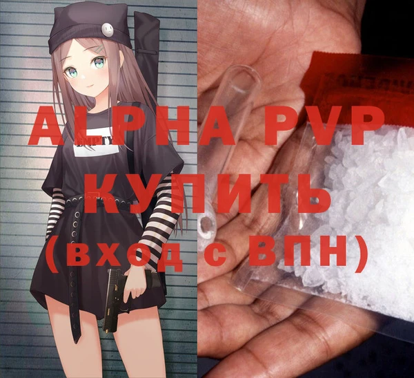 стаф Баксан