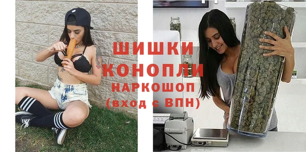 стаф Баксан