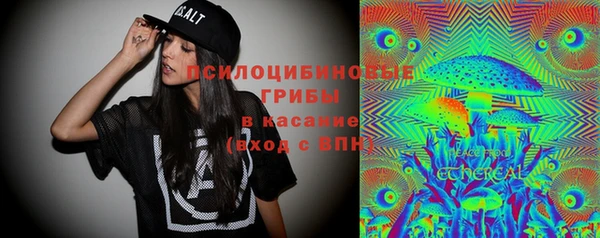 стаф Баксан