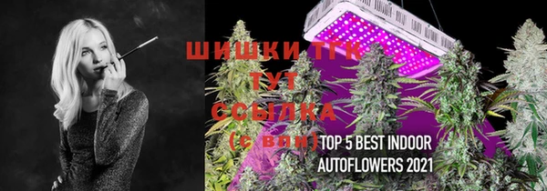 бошки Балахна