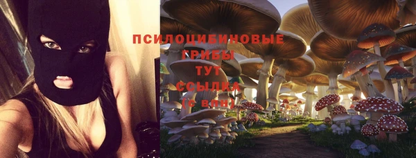 стаф Баксан