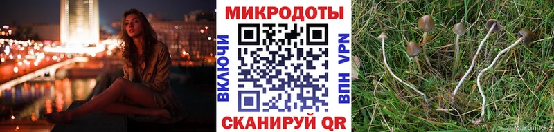 Галлюциногенные грибы прущие грибы  Ивангород 